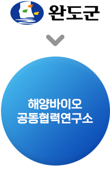 완도군 해양바이오공동협력연구소