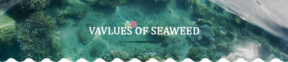 Vavlues of Seaweed