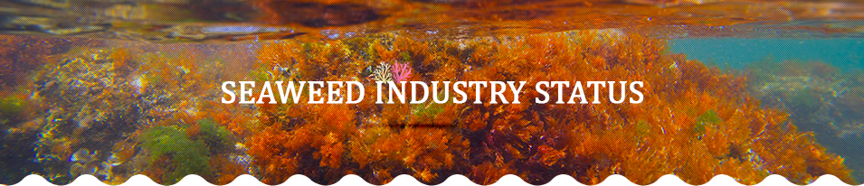 Seaweed Industry Status
