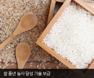 쌀 풍년 농사 달성 기술 보급