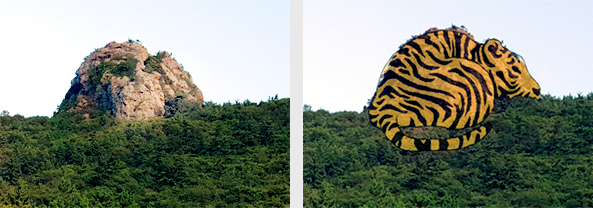 호랑이가 뒤로 앉아있는 모습의 범바위와 호랑이의 형상