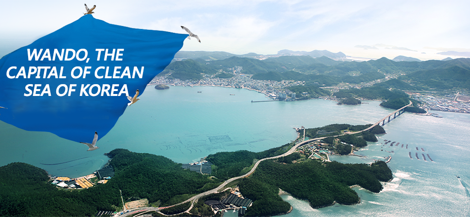 Announcement of  Wando, the Capital of Clean Sea of Korea
