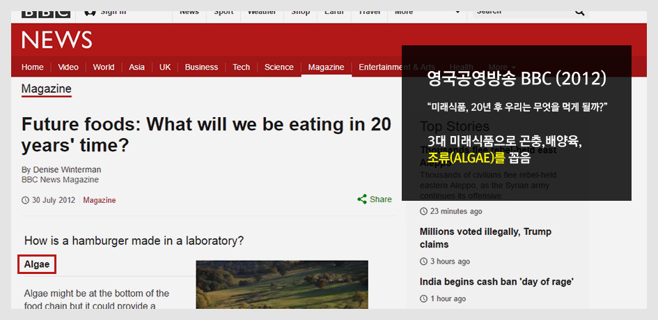 영국 공영방송 BBC(2012) 뉴스 기사 캡쳐화면,  미래식품,20년 후 우리는 무엇을 먹게 될까? 3대미래식품으로 곤충,배양육,조류(Algae)를 꼽음