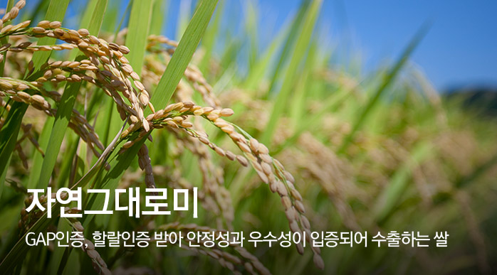 자연그대로미, GAP인증, 할랄인증 받아 안정성과 우수성이 입증되어 수출하는 쌀